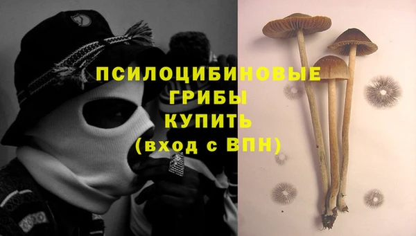 MESCALINE Магадан